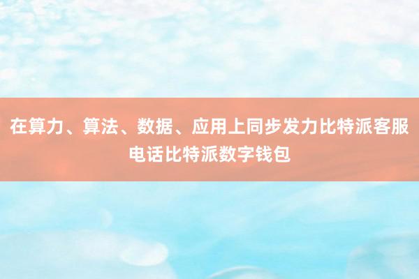 在算力、算法、数据、应用上同步发力比特派客服电话比特派数字钱包