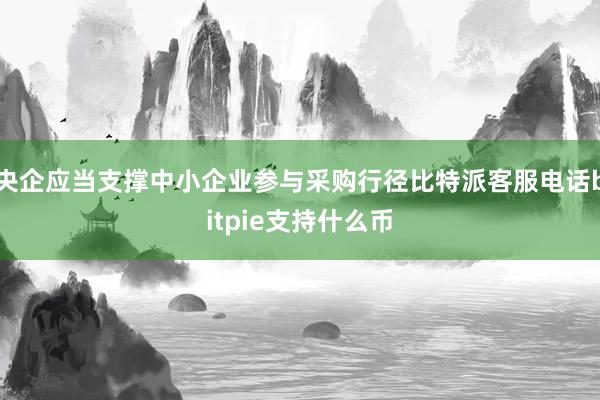 央企应当支撑中小企业参与采购行径比特派客服电话bitpie支持什么币