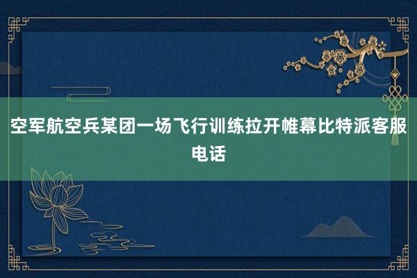 空军航空兵某团一场飞行训练拉开帷幕比特派客服电话