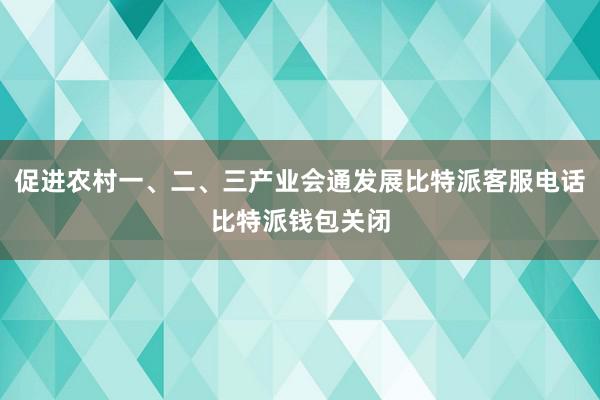 促进农村一、二、三产业会通发展比特派客服电话比特派钱包关闭