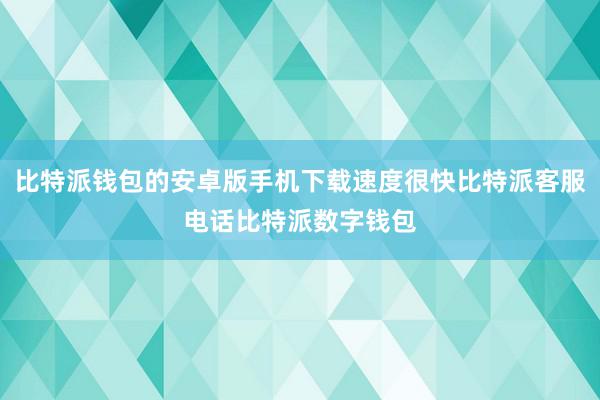 比特派钱包的安卓版手机下载速度很快比特派客服电话比特派数字钱包