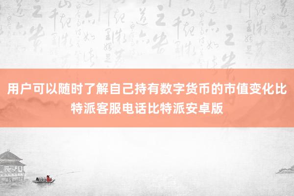 用户可以随时了解自己持有数字货币的市值变化比特派客服电话比特派安卓版