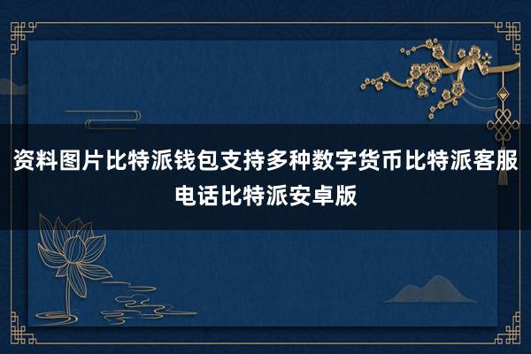 资料图片比特派钱包支持多种数字货币比特派客服电话比特派安卓版