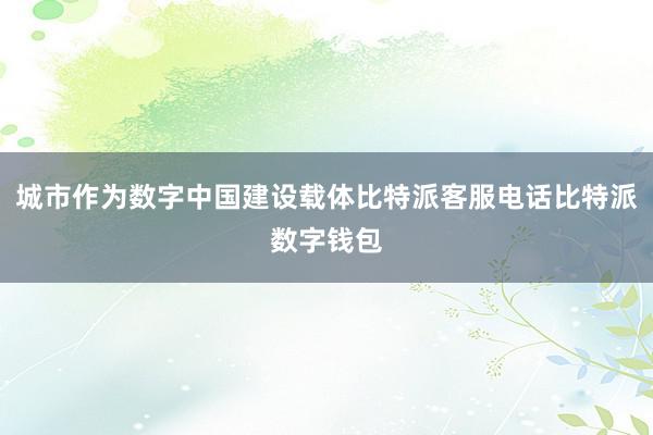 城市作为数字中国建设载体比特派客服电话比特派数字钱包