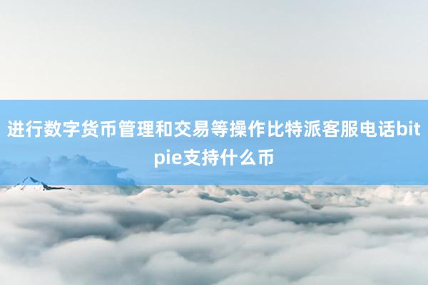 进行数字货币管理和交易等操作比特派客服电话bitpie支持什么币