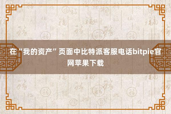 在“我的资产”页面中比特派客服电话bitpie官网苹果下载