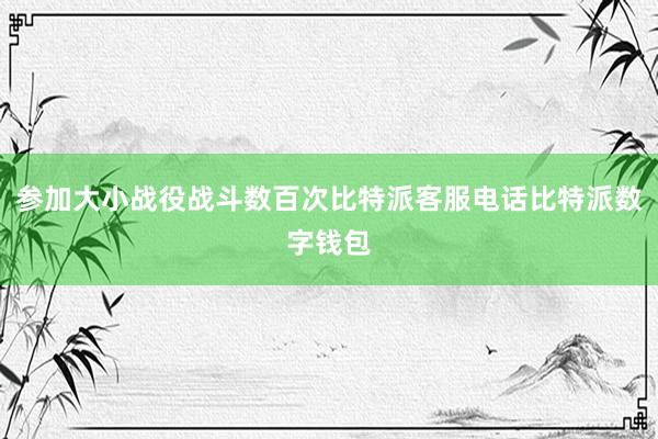 参加大小战役战斗数百次比特派客服电话比特派数字钱包