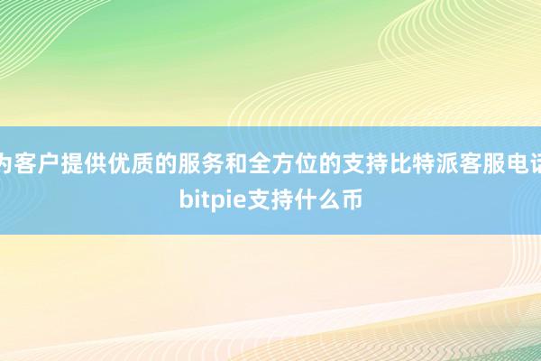 为客户提供优质的服务和全方位的支持比特派客服电话bitpie支持什么币