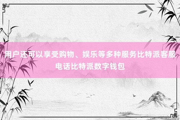 用户还可以享受购物、娱乐等多种服务比特派客服电话比特派数字钱包