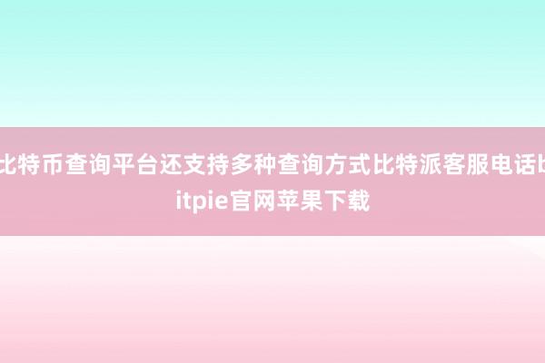 比特币查询平台还支持多种查询方式比特派客服电话bitpie官网苹果下载