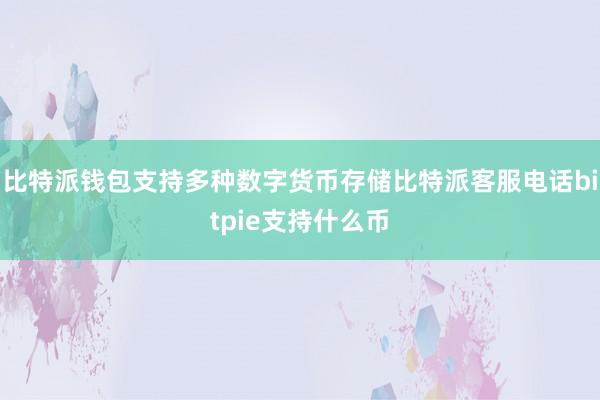 比特派钱包支持多种数字货币存储比特派客服电话bitpie支持什么币