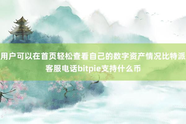 用户可以在首页轻松查看自己的数字资产情况比特派客服电话bitpie支持什么币