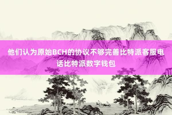 他们认为原始BCH的协议不够完善比特派客服电话比特派数字钱包