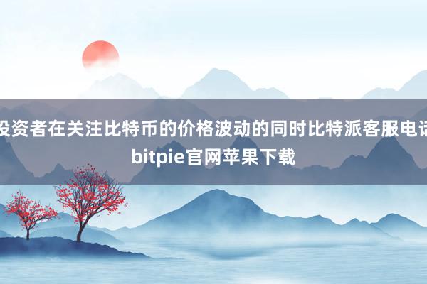 投资者在关注比特币的价格波动的同时比特派客服电话bitpie官网苹果下载