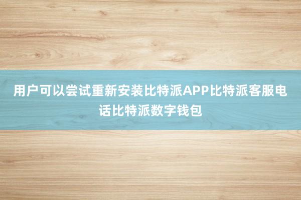 用户可以尝试重新安装比特派APP比特派客服电话比特派数字钱包