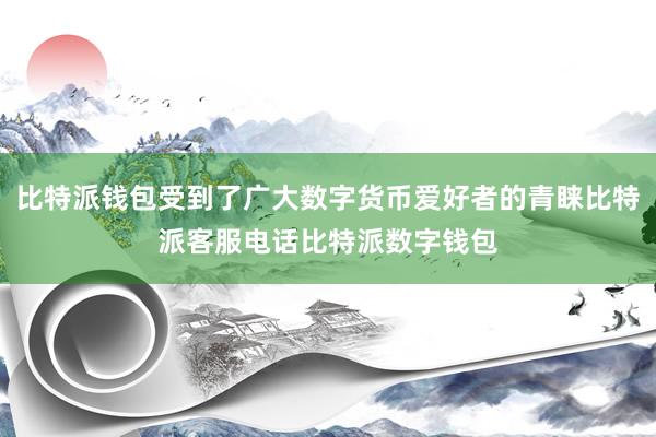 比特派钱包受到了广大数字货币爱好者的青睐比特派客服电话比特派数字钱包