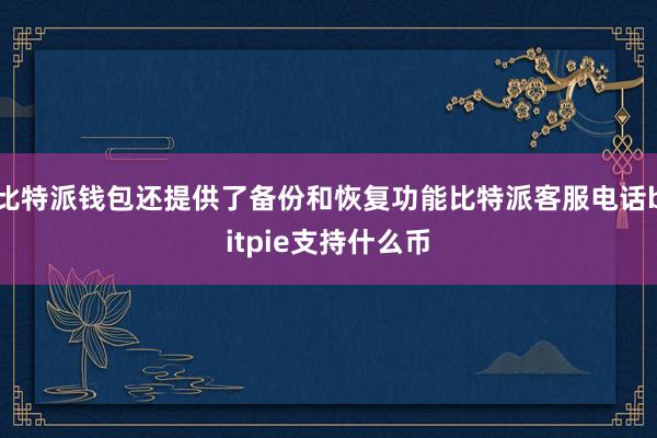 比特派钱包还提供了备份和恢复功能比特派客服电话bitpie支持什么币