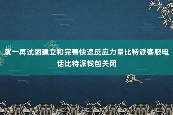 就一再试图建立和完善快速反应力量比特派客服电话比特派钱包关闭