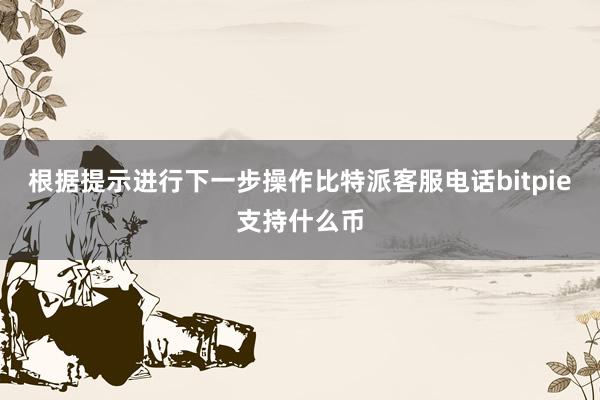 根据提示进行下一步操作比特派客服电话bitpie支持什么币