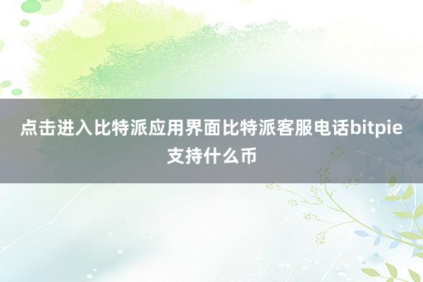 点击进入比特派应用界面比特派客服电话bitpie支持什么币