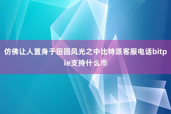 仿佛让人置身于田园风光之中比特派客服电话bitpie支持什么币