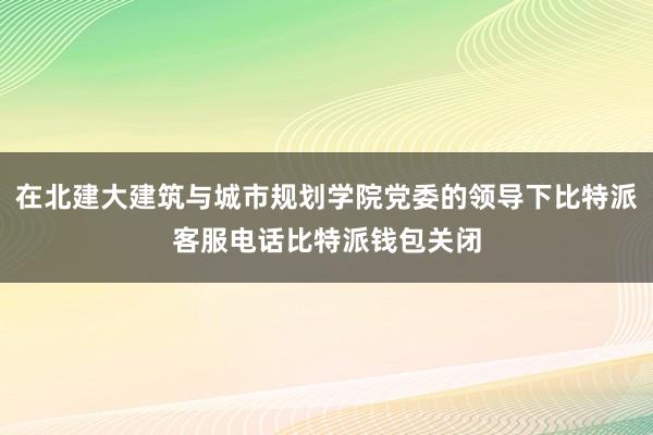 在北建大建筑与城市规划学院党委的领导下比特派客服电话比特派钱包关闭