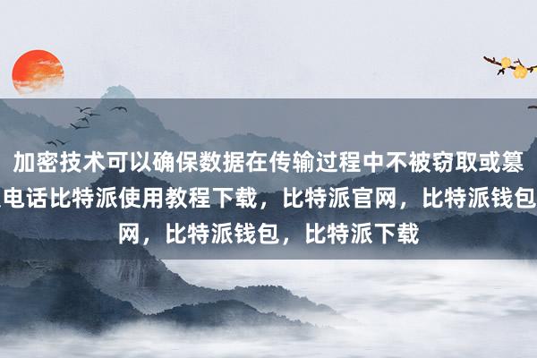 加密技术可以确保数据在传输过程中不被窃取或篡改比特派客服电话比特派使用教程下载，比特派官网，比特派钱包，比特派下载