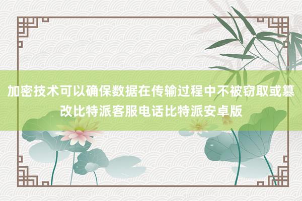 加密技术可以确保数据在传输过程中不被窃取或篡改比特派客服电话比特派安卓版