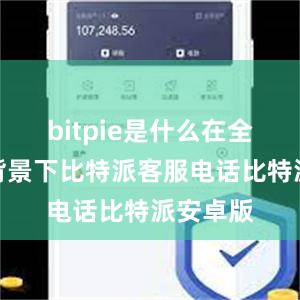 bitpie是什么在全球变暖背景下比特派客服电话比特派安卓版