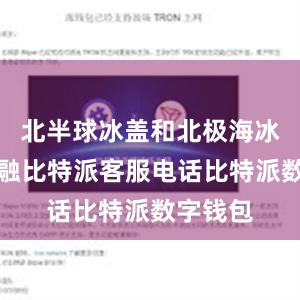 北半球冰盖和北极海冰加速消融比特派客服电话比特派数字钱包