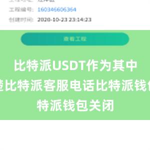 比特派USDT作为其中的翘楚比特派客服电话比特派钱包关闭