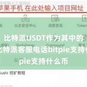 比特派USDT作为其中的翘楚比特派客服电话bitpie支持什么币