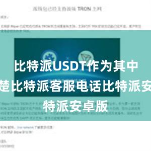 比特派USDT作为其中的翘楚比特派客服电话比特派安卓版