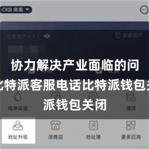 协力解决产业面临的问题比特派客服电话比特派钱包关闭