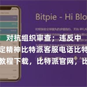 对抗组织审查；违反中央八项规定精神比特派客服电话比特派使用教程下载，比特派官网，比特派钱包，比特派下载