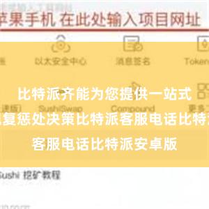 比特派齐能为您提供一站式的数据规复惩处决策比特派客服电话比特派安卓版