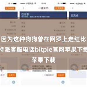 因为这种狗狗曾在网罗上走红比特派客服电话bitpie官网苹果下载