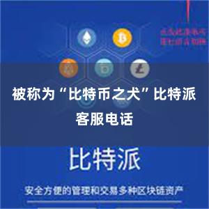 被称为“比特币之犬”比特派客服电话