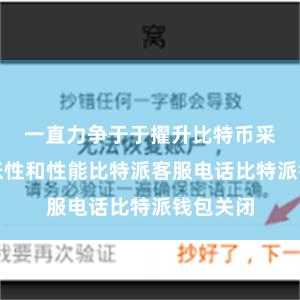 一直力争于于擢升比特币采集的彭胀性和性能比特派客服电话比特派钱包关闭