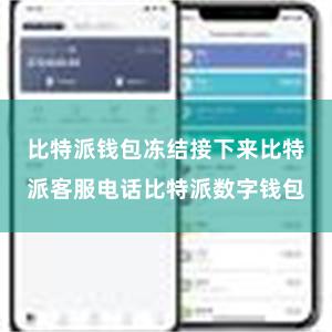 比特派钱包冻结接下来比特派客服电话比特派数字钱包