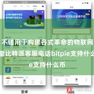 不错用于构建各式革命的物联网名堂比特派客服电话bitpie支持什么币